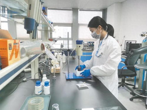 南寧市聚力政策落實與科技研發，賦能民營經濟高質量發展